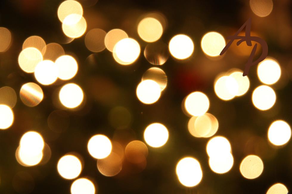 Blog Image Christmas Lights